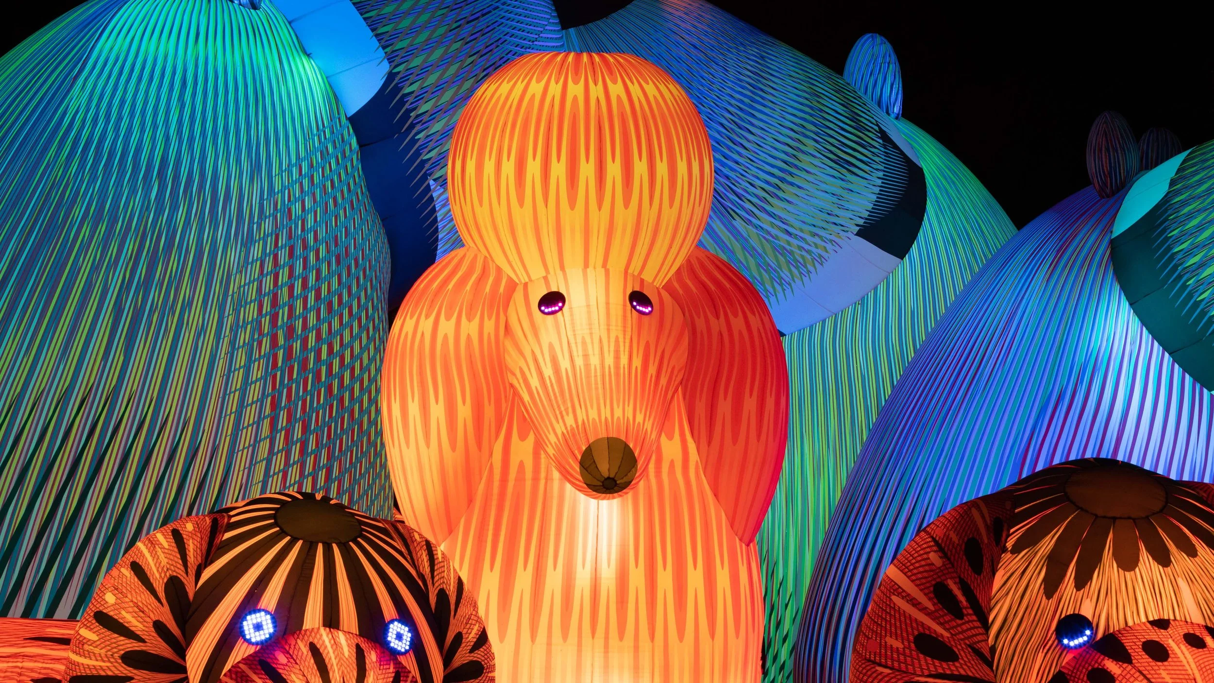 LOST DOGS' DISCO | Immersive Interactive Media & Public Art<br